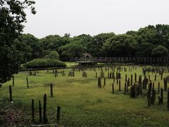 -河姆渡遗址博物馆