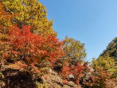 -大连天门山国家森林公园