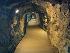 -大明山自然探索公园