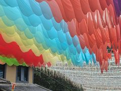 -栾川竹海野生动物园