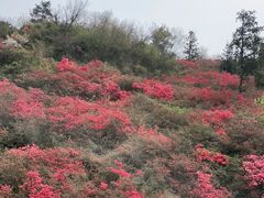 -木兰云雾山