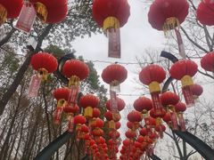 -武汉园博园(武汉自然博物馆)