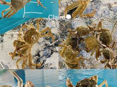 -SHRIMP CLUB万东餐饮钓虾·清吧