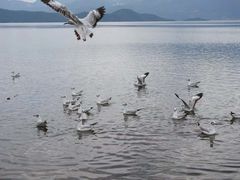 -丽江泸沽湖景区