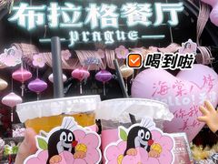 -布拉格餐厅· 中欧捷克菜(全国首店)
