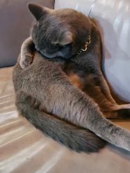 -青木造型HAIR·あおき髪を刈る潮人店