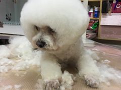 -一心烤肉(延安路店)