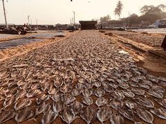 -尼甘布海鲜市场