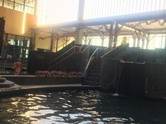 -嘉佑温泉水世界