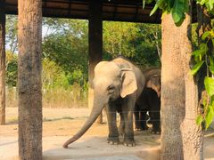 -清迈夜间动物园