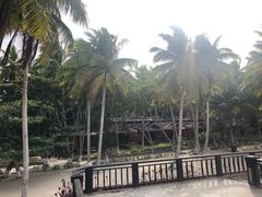 -东郊椰林