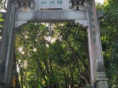 -梧桐山风景名胜区