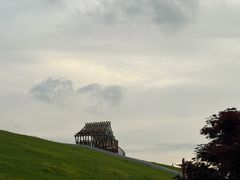 -合肥滨湖国家森林公园