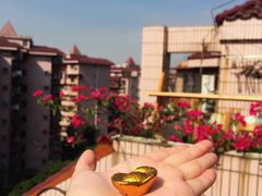-36cake生日蛋糕·下午茶(南山店)