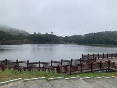 -海南热带雨林国家公园吊罗山景区