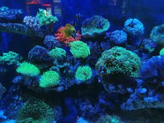 -海合安成都极地海洋公园