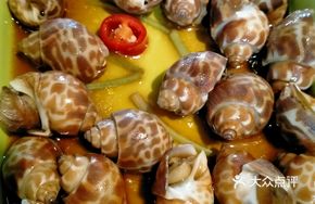 Spicy Drizzle Winkling Snail