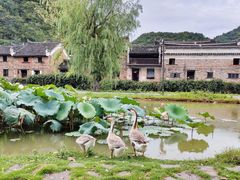 -上甘棠村