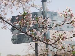 -上海辰山植物园