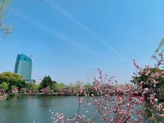 -无锡蠡湖国家湿地公园-蠡园