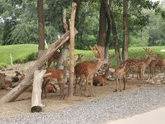 -北京野生动物园