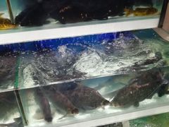 -盒马鲜生(红莲店)