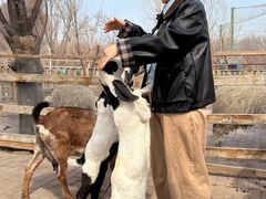 -水上乐园·欢乐世界