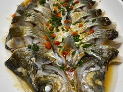 清蒸鱼-广兴酒家