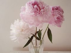 -巴黎贝甜(周浦海印店)