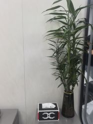 -TRIMS HAIR 修剪造型·烫染接发