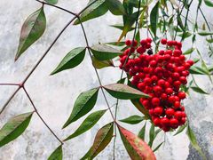 -浙东革命根据地纪念馆