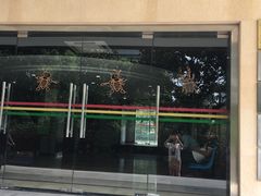 -上海昆虫博物馆