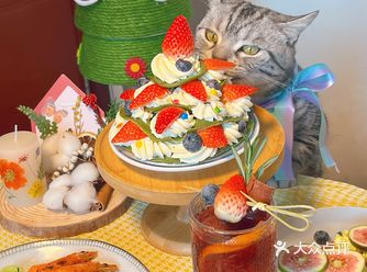 和我的小猫一起过圣诞漂亮饭安排