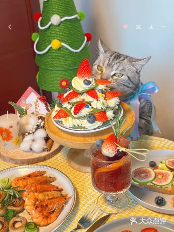 和我的小猫一起过圣诞漂亮饭安排