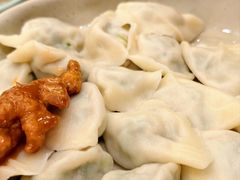 茴香饺子-三姐妹饺子(东木头市店)