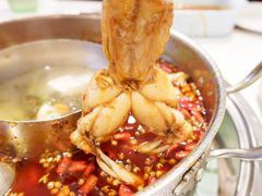 -蛙两只美蛙鱼头火锅(恒茂店)