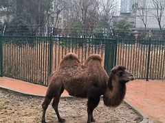 -海合安武汉极地海洋公园