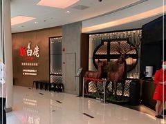 -新白鹿餐厅(虹桥南丰城店)