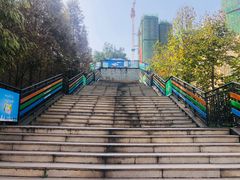 -张坝桂圆林公园