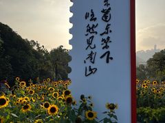 -南山植物园