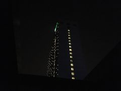 -上海浦东康桥绿地假日酒店