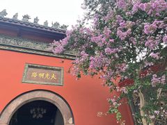 -古大圣慈寺
