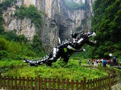 -重庆武隆天生三桥风景区-神鹰天坑