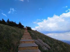 -白草畔自然风景区