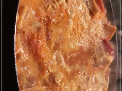 -炙韩料理·部队锅专门店