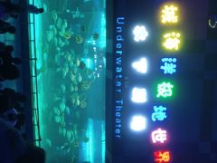 -泉城欧乐堡海洋极地世界