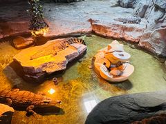 -泉城欧乐堡海洋极地世界