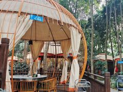 -二荆条·蜀鲜汇城市森林火锅