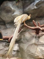 -Zoolung Zoolung动物主题公园(海信广场店)