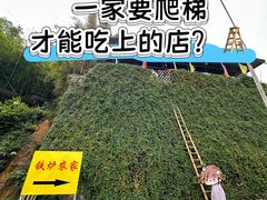 -铁炉农家菜馆
